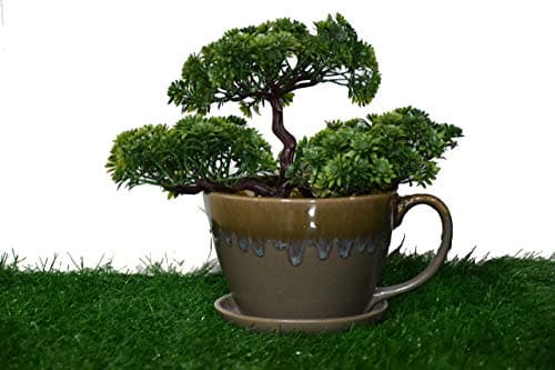 Crystal View Crafts Glazed Pot Cup Shaped Planter (Grey)