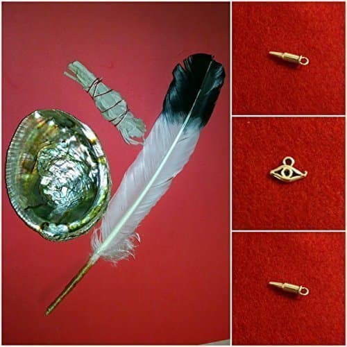 Smudge Kit with Authentic Sinew Wrapped Feather, Organic Sage Smudge Torch, Abalone Shell, Smudging Guide and Instructions
