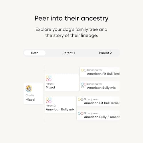 Embark | Dog DNA Test | Breed Identification Kit