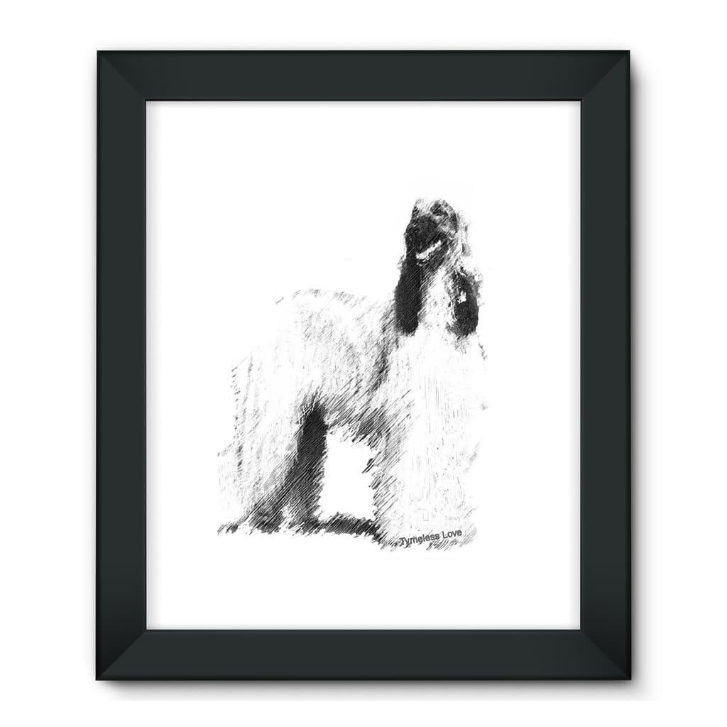 Afghan Hound Framed Fine Art Print