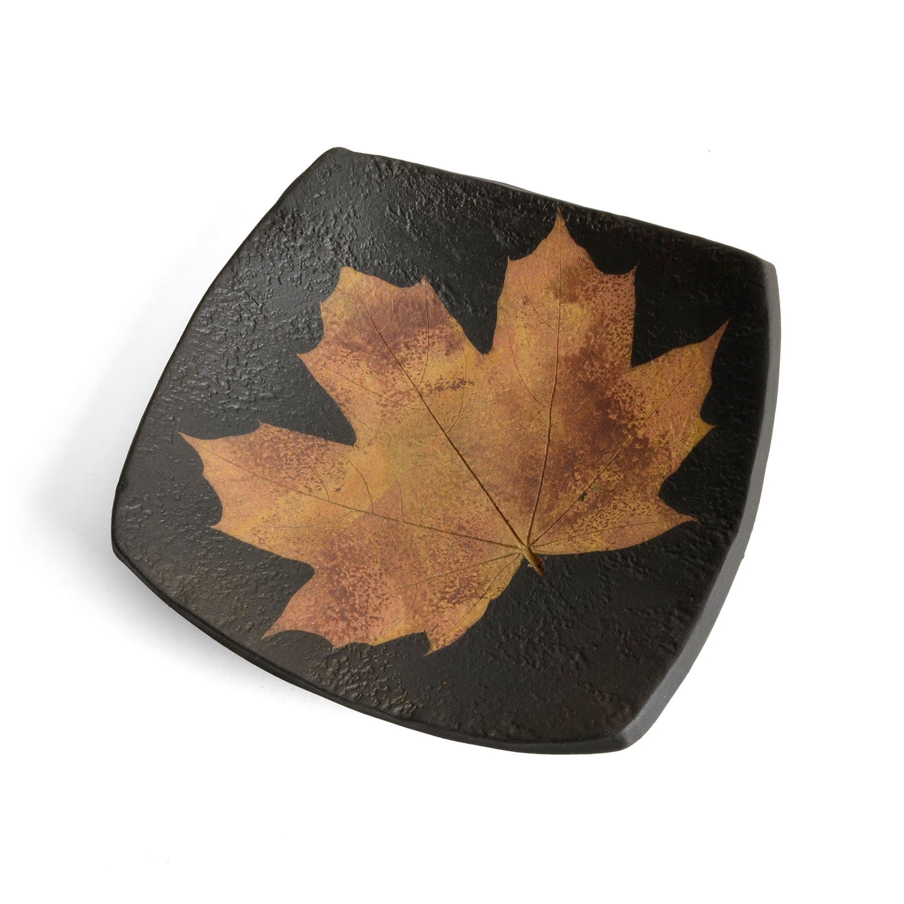 Petrified Forest Small Square Leaf Bowl, Black